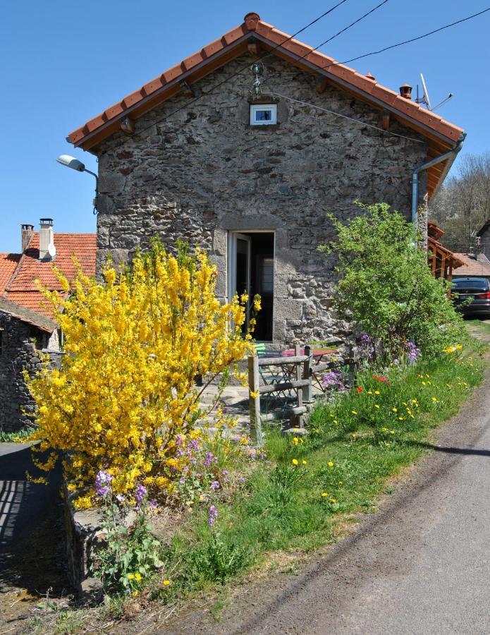 Gite De La Meille Chamalieres-sur-Loire Ngoại thất bức ảnh
